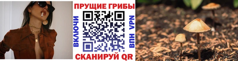 Галлюциногенные грибы GOLDEN TEACHER  магазин    Феодосия 